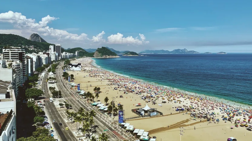 people on beach during daytime