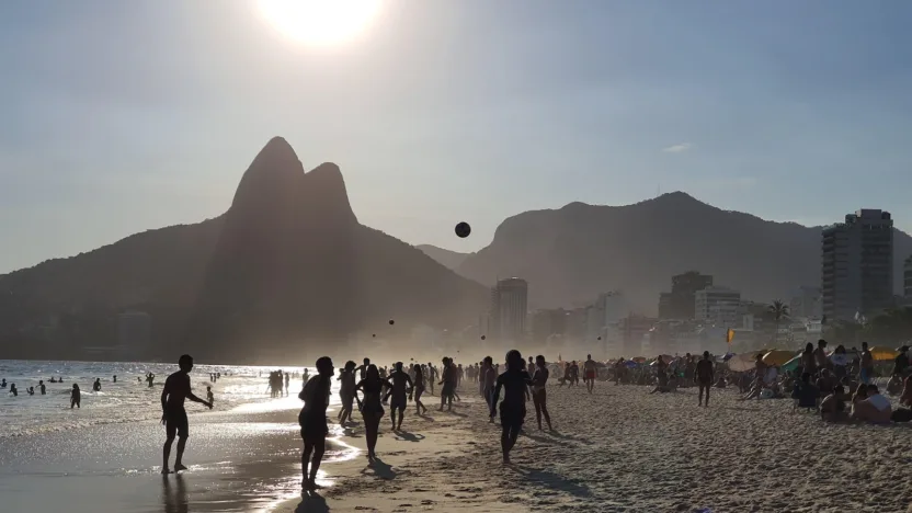 people on beach during daytime